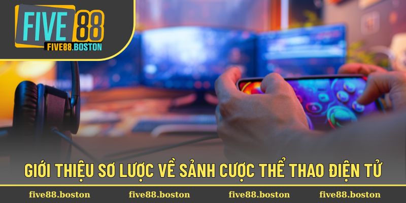 Giới thiệu sơ lược về sảnh cược thể thao điện tử