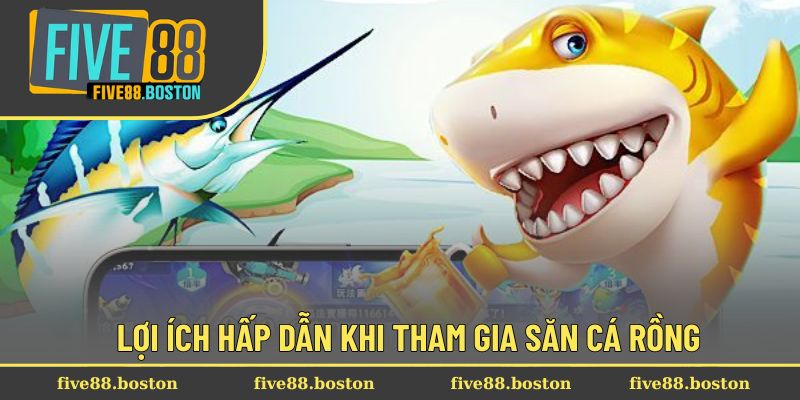 Lợi ích hấp dẫn khi tham gia săn cá rồng