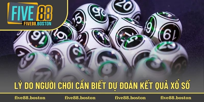 Lý do người chơi cần biết dự đoán kết quả xổ số